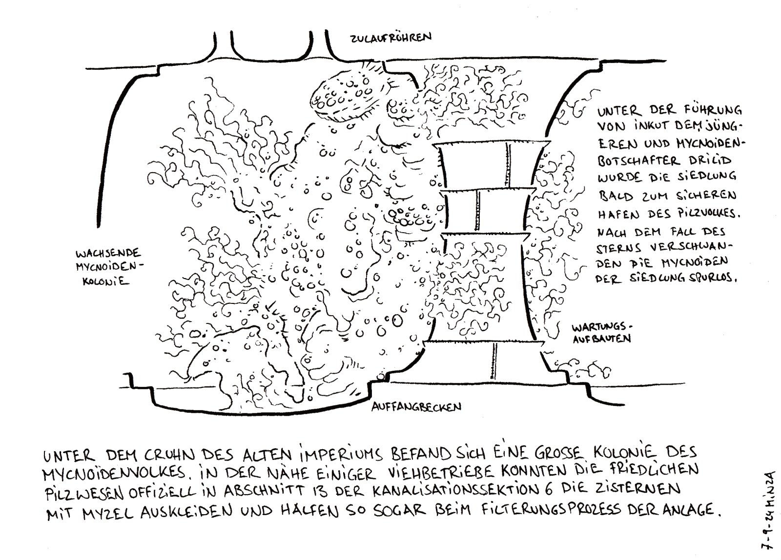 37 - Myncoidenkolonie unter Cruhn.jpg